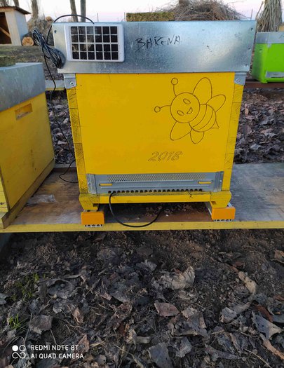 Hive image