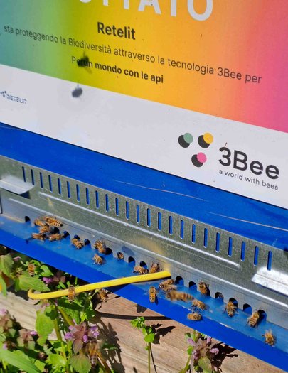 Hive image