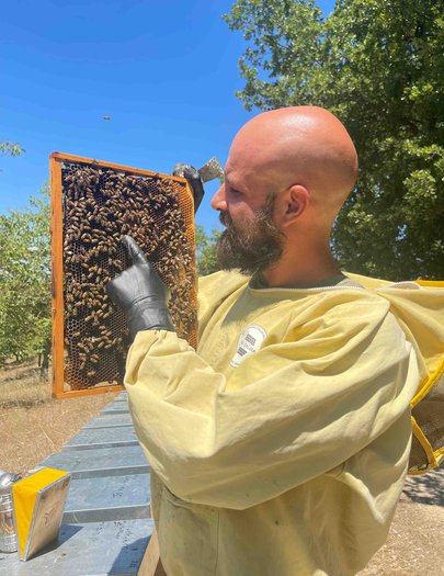 Hive image
