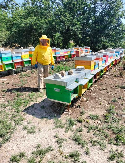 Hive image