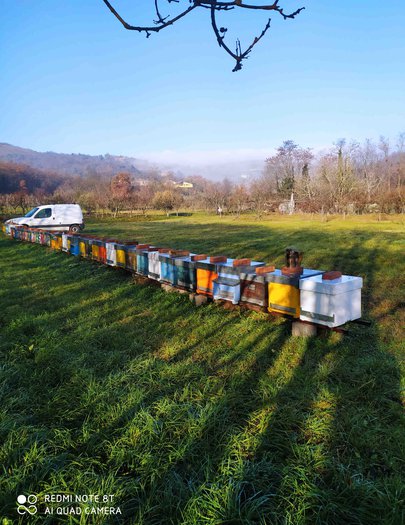 Hive image