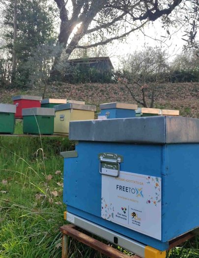 Hive image