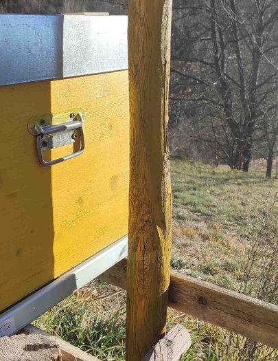Hive image