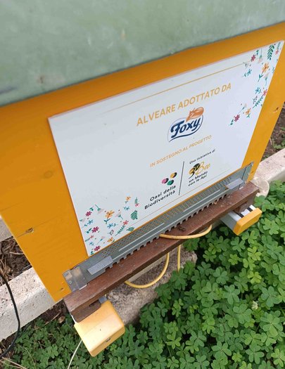 Hive image