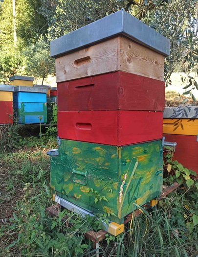 Hive image