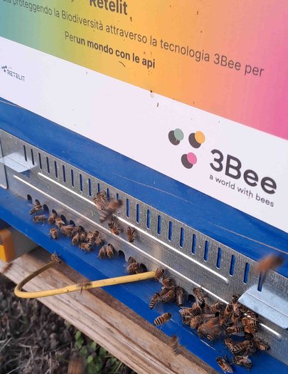 Hive image