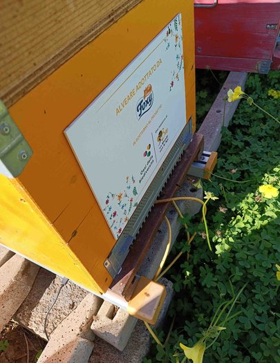 Hive image