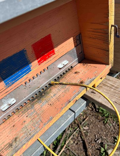 Hive image