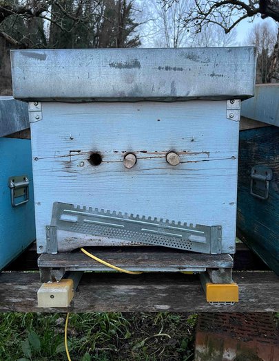 Hive image