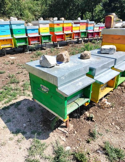 Hive image