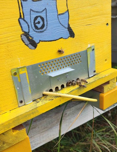 Hive image