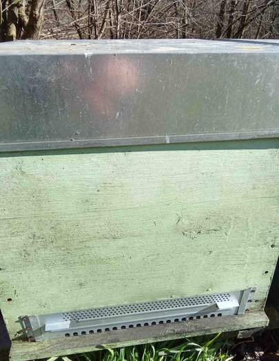 Hive image