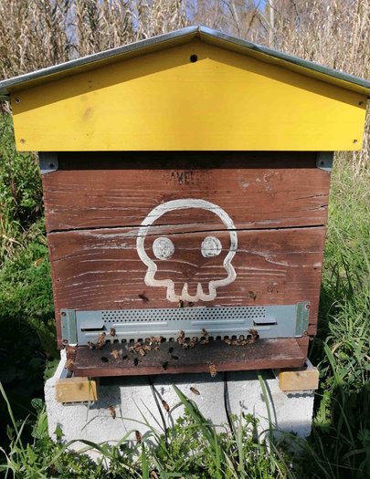 Hive image