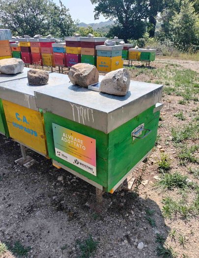 Hive image