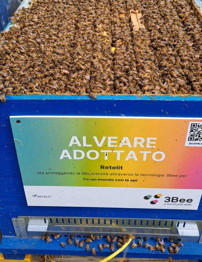Hive image