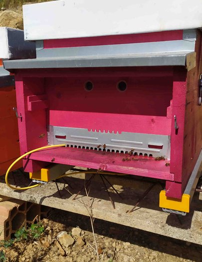Hive image