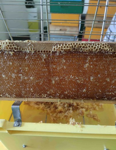 Hive image