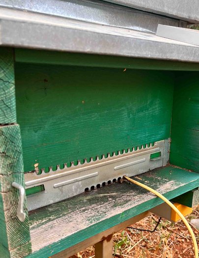 Hive image