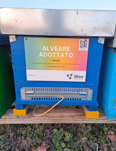 Hive image