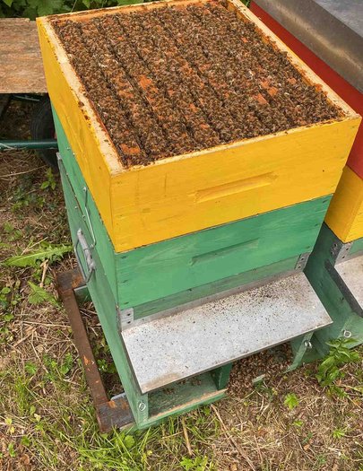 Hive image