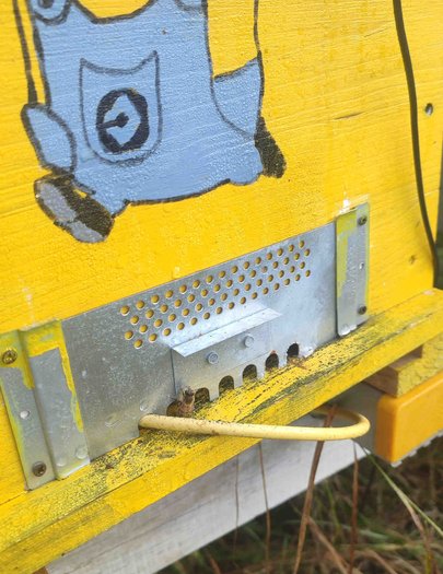 Hive image
