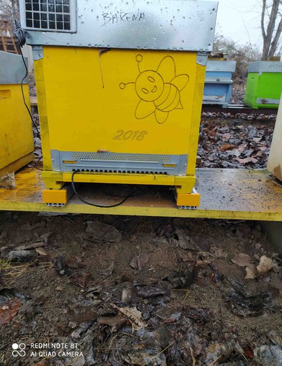 Hive image
